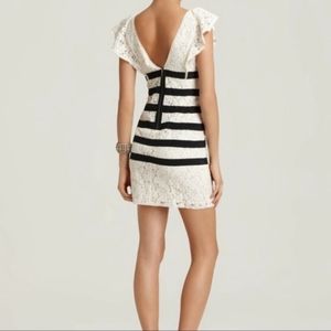 BCBG Cream lace mini dress